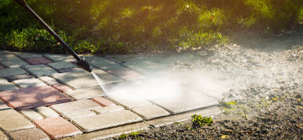 Best Gutter Cleaning  in Marshall, MI